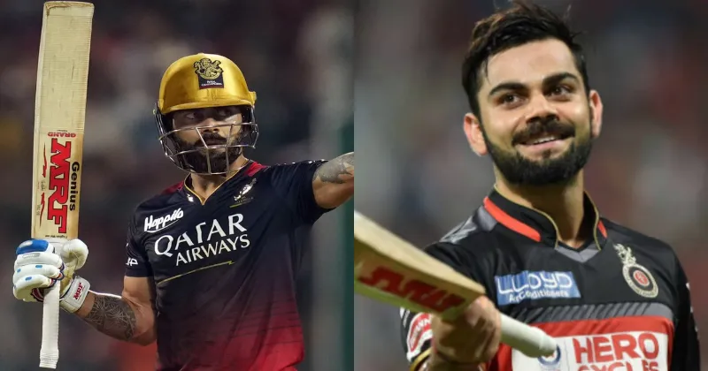 Ipl 2016: The Thrilling Journey of : Kohli’s Record and SRH’s Triumph