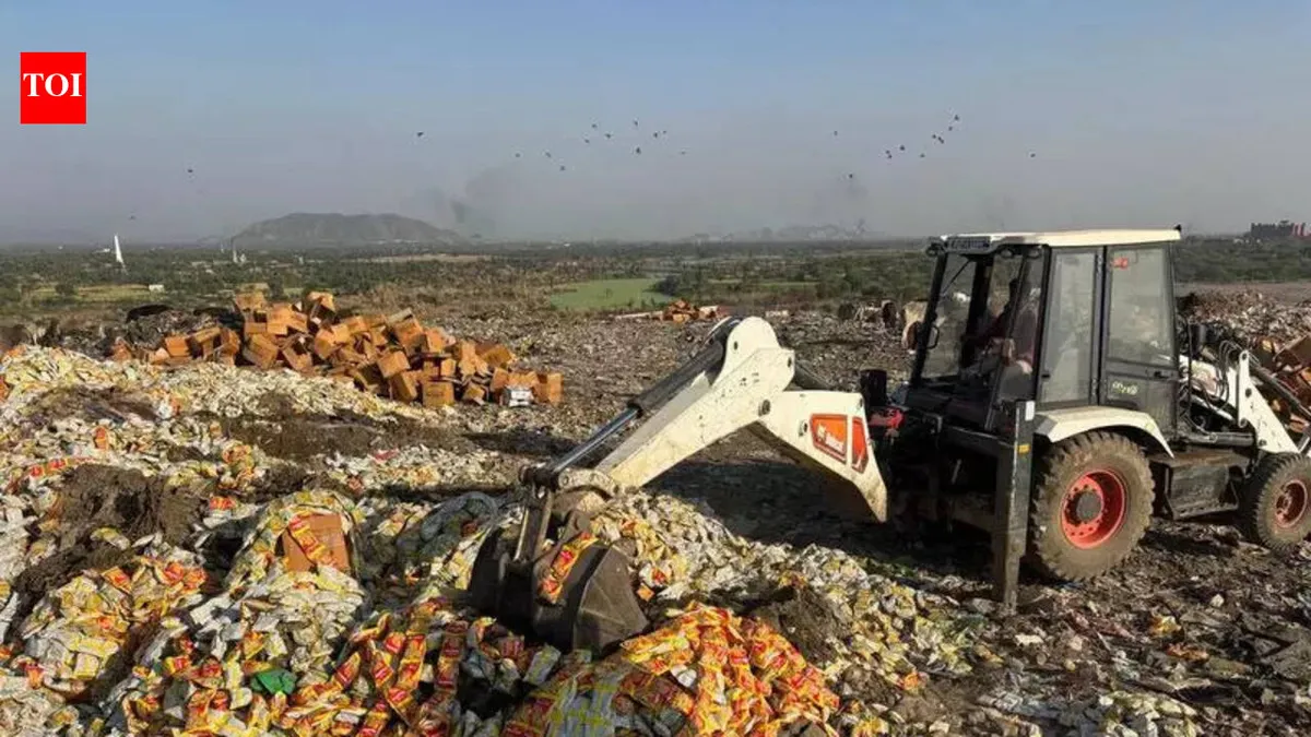 Raid: Recent  Uncovers Expired Food Products and Drug Seizures