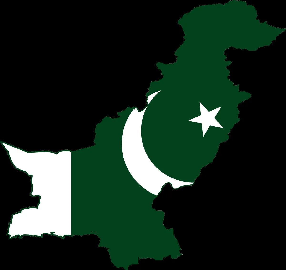 Pakistan’s Energy Revolution: A Contrast of Challenges and Triumphs