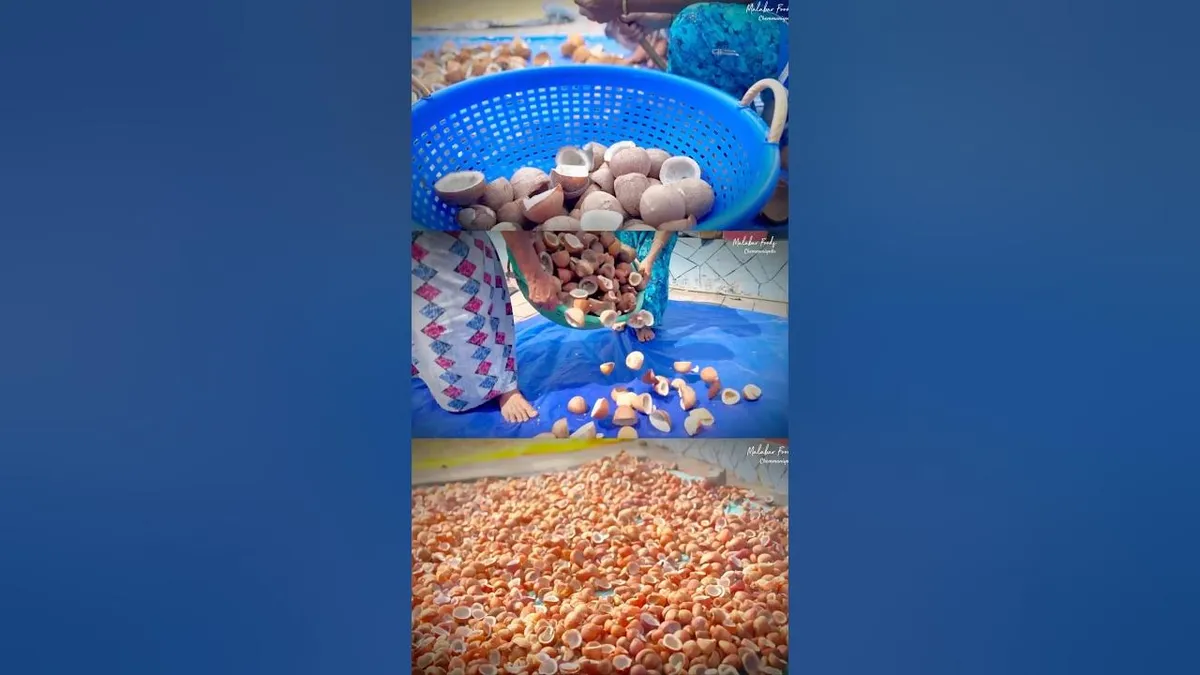 വെളിച്ചെണ്ണ — IN news